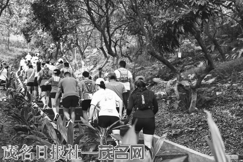 省运与环保 省运与环保